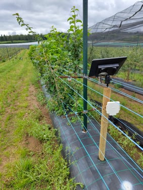 IMG_20240716_111550384