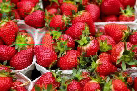 strawberries-1396330_1920